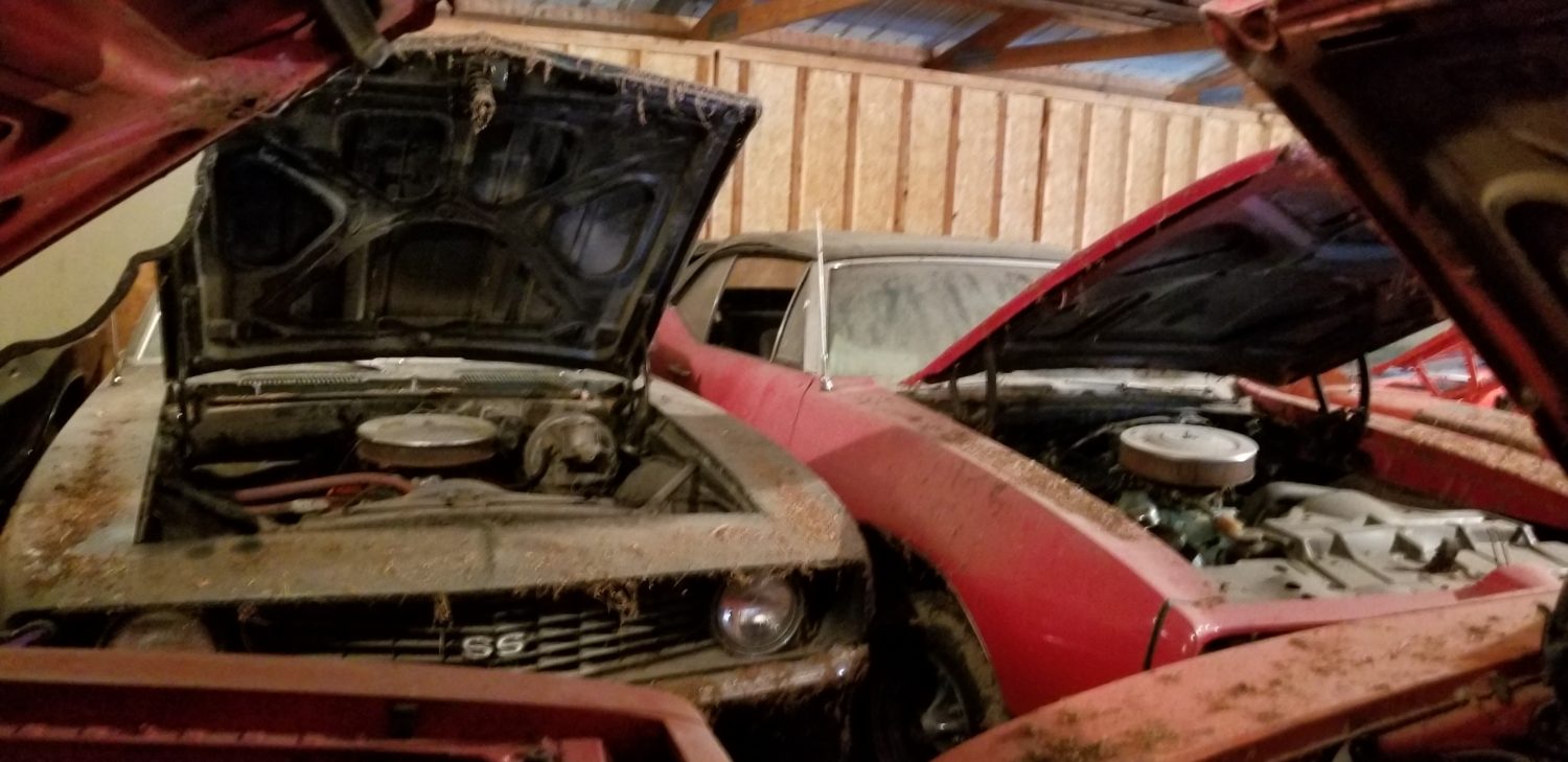 Muscle Car Heaven! The Coyote Johnson Collection Auction - image 2