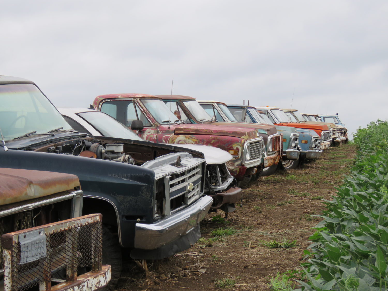 Approx. 300 GM Classic Cars- Impalas, Tri-Five & More! The Robinson Chevrolet Collection Live Onsite & Online! - image 29