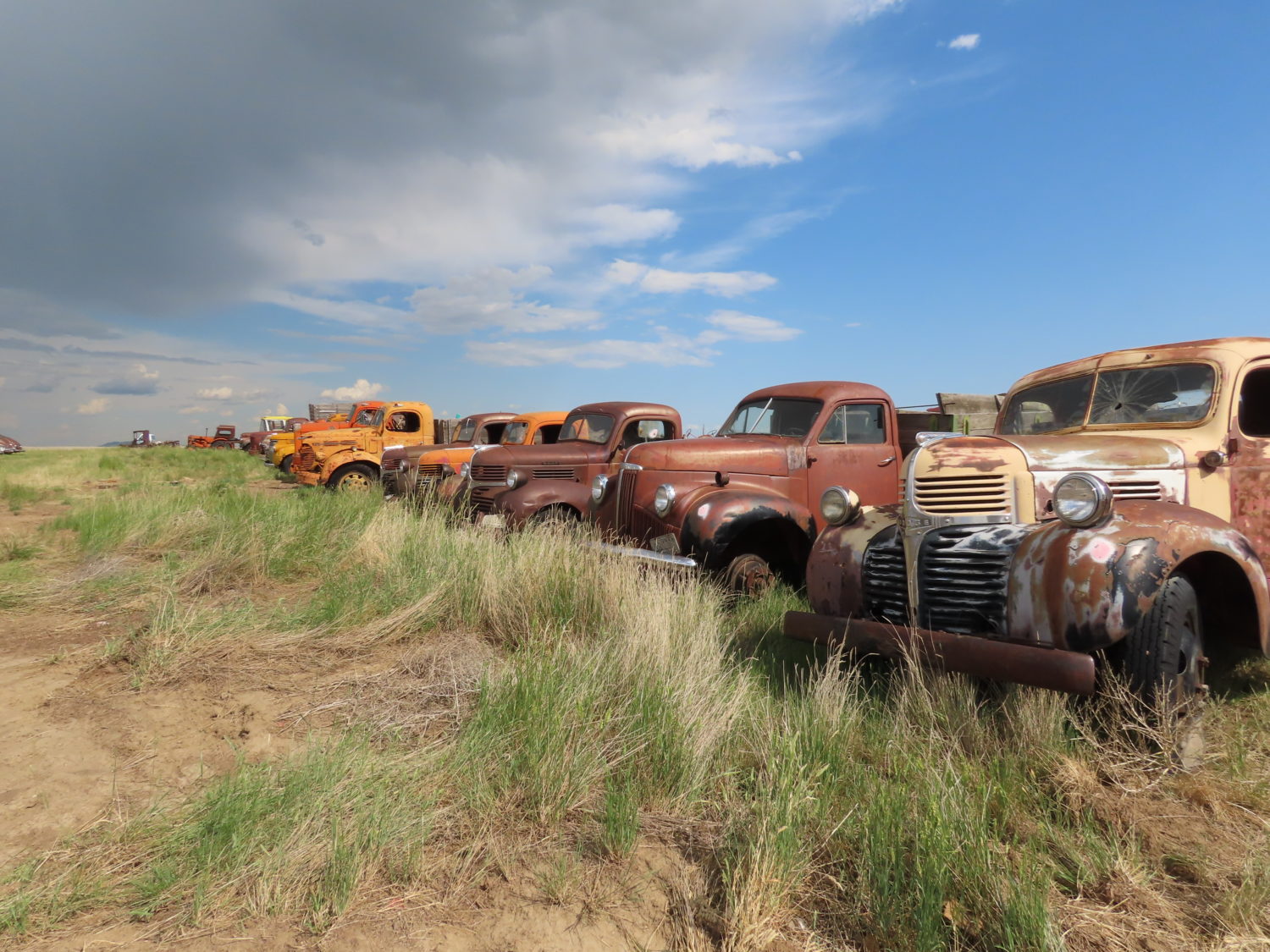 ONLINE ONLY! AMAZING Montana Barn Find! Rare & Classic Vehicles, Antique Tractors, & MUCH More! - image 23