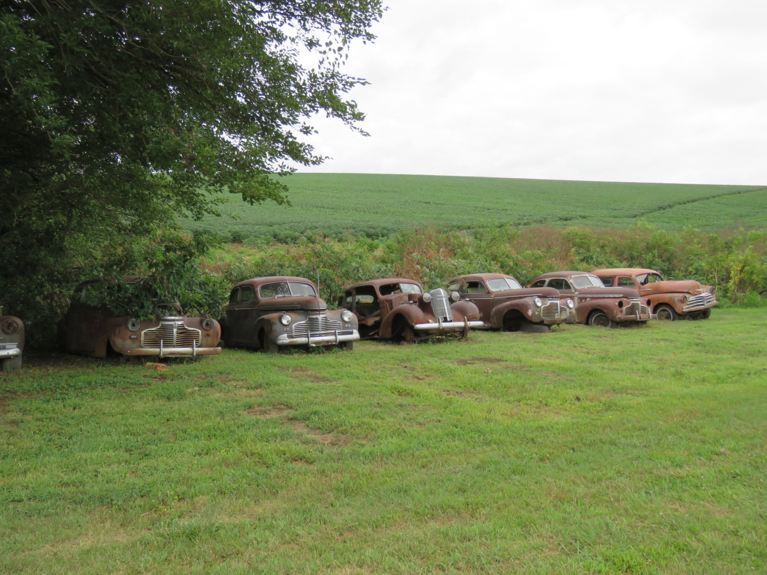 Approx. 300 GM Classic Cars- Impalas, Tri-Five & More! The Robinson Chevrolet Collection Live Onsite & Online! - image 33