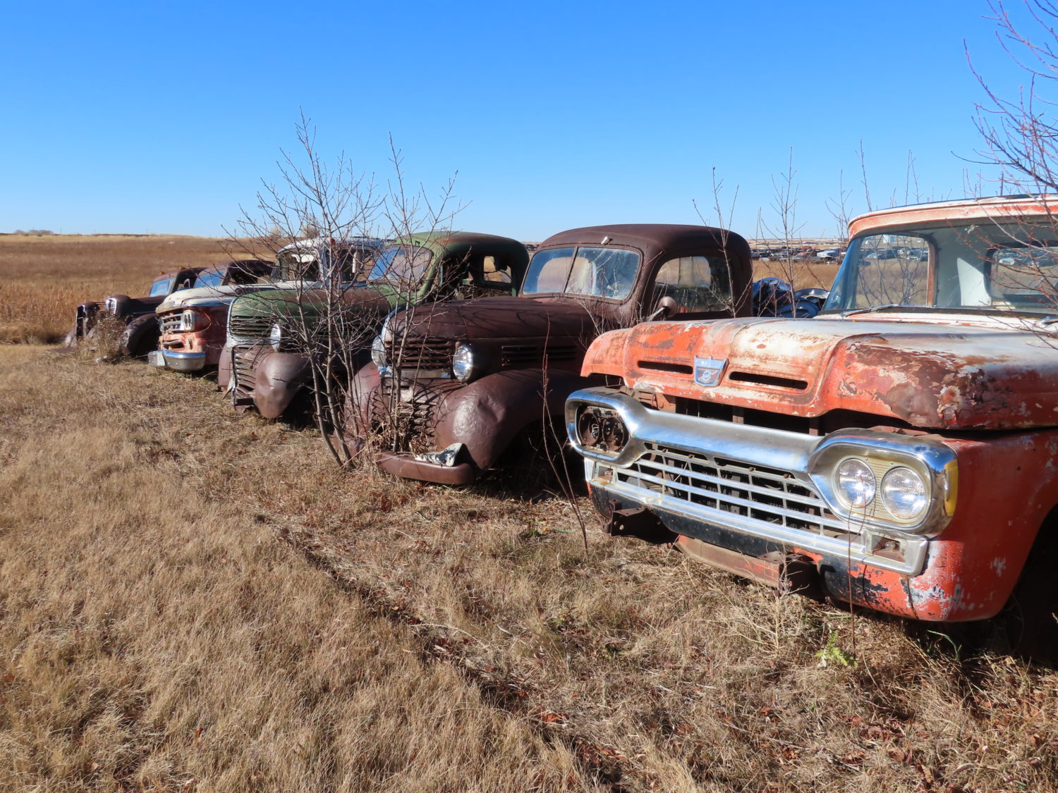LIVE ONSITE & ONLINE! Approx. 300 Collector Cars, Parts, & More! The Sagaser Collection! June 7th, 2025 - image 35