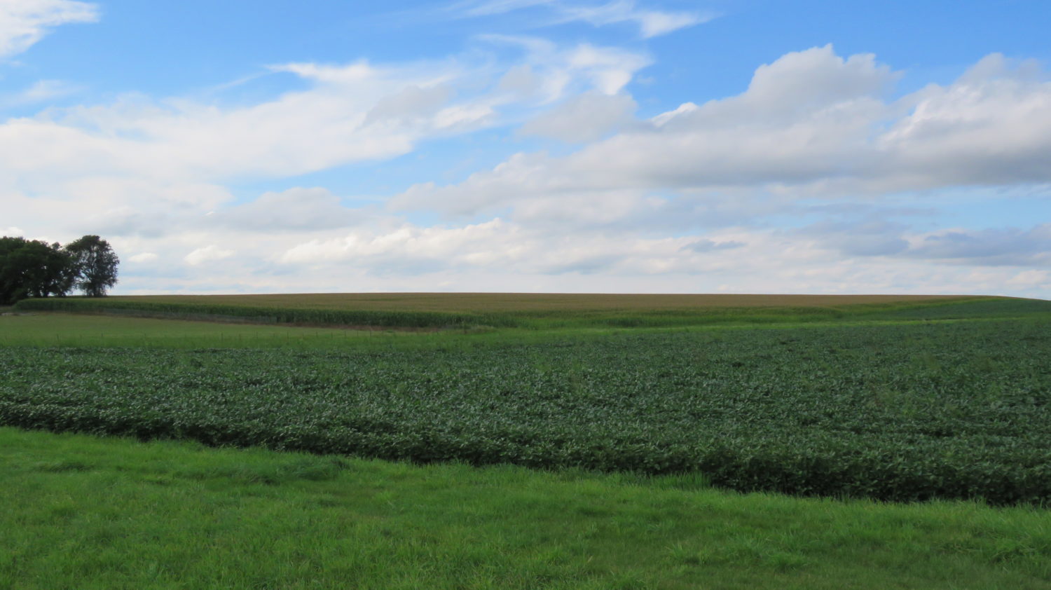 DOUBLE AUCTION! PERSONAL PROPERTY + ~155 ACRES OF HIGHLY PRODUCTIVE ROCK COUNTY FARMGROUND SOLD $8500/acre - image 4