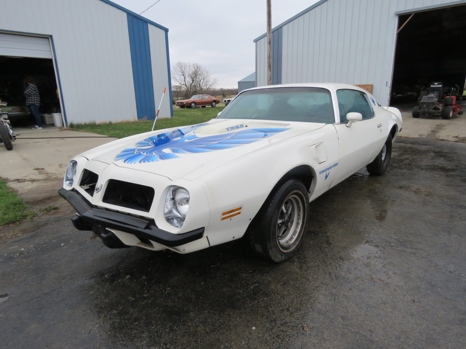 Amazing Trans Am & Pontiac Cars and Parts Hoard! The Kansas Collection - image 5