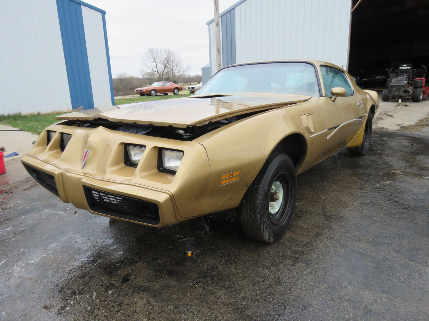 Amazing Trans Am & Pontiac Cars and Parts Hoard! The Kansas Collection - image 6