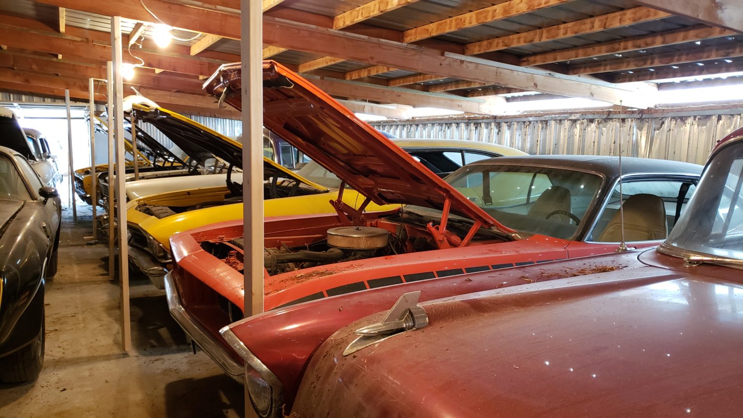 Iowa Muscle Car Hoard at Auction! The Coyote Johnson Collection Auction - image 12