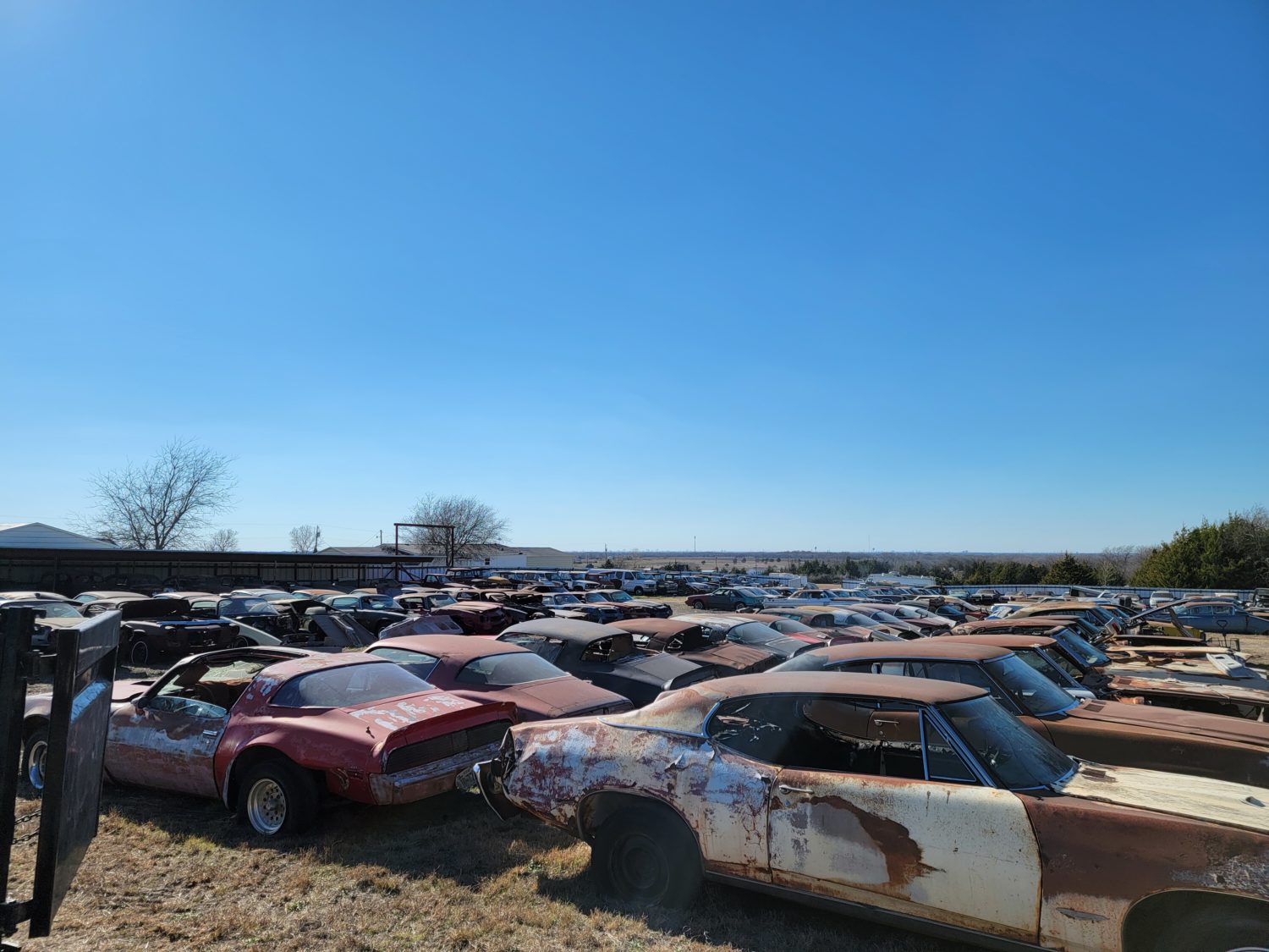 200 Plus Classic Cars at Auction! Dennis Collin's Coffee Walk Presents Restoration Revival Auction!  - image 3