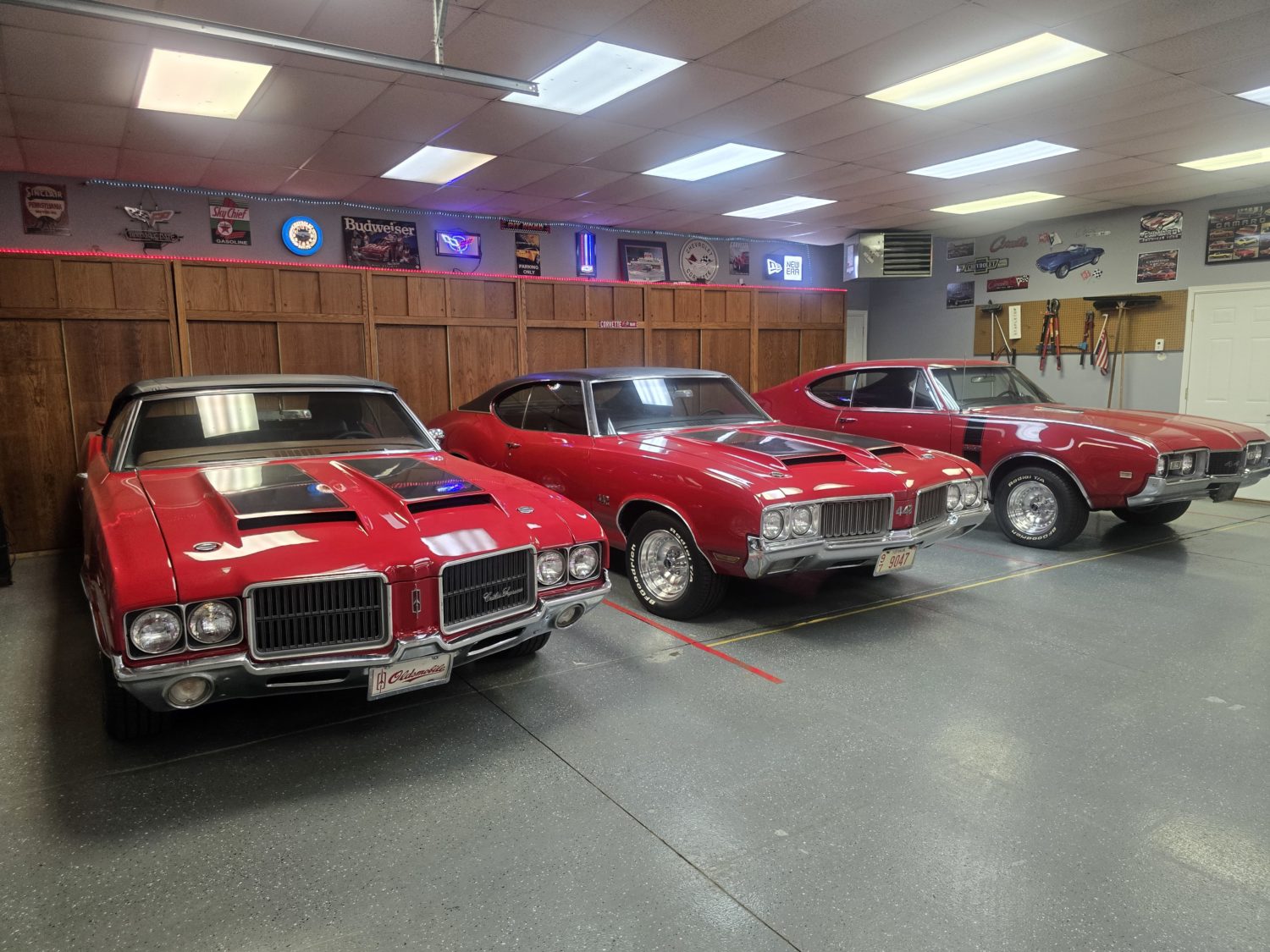 Fabulous GM Muscle Cars! Cutlass, Chevelle, Camaro, & More! Stapleton Collection - image 1