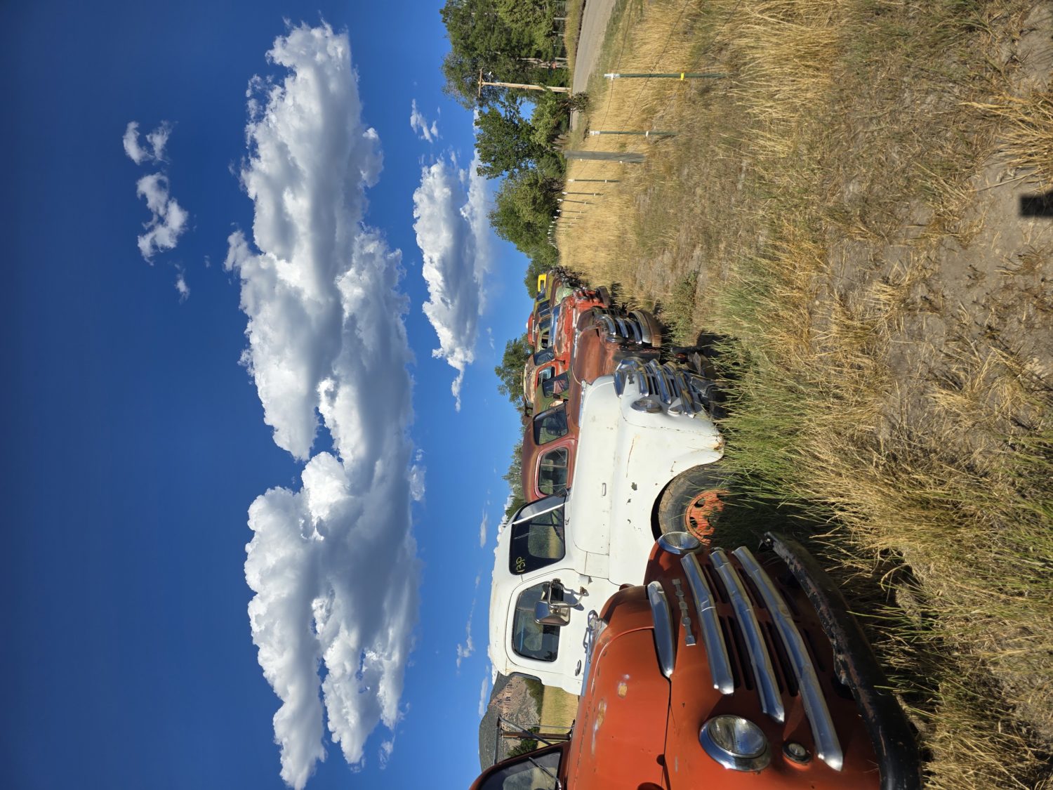 ONLINE ONLY! Dodge Pickups & More! Elder-Auto, A Gold Mine of Old Dodge Trucks!  - image 6