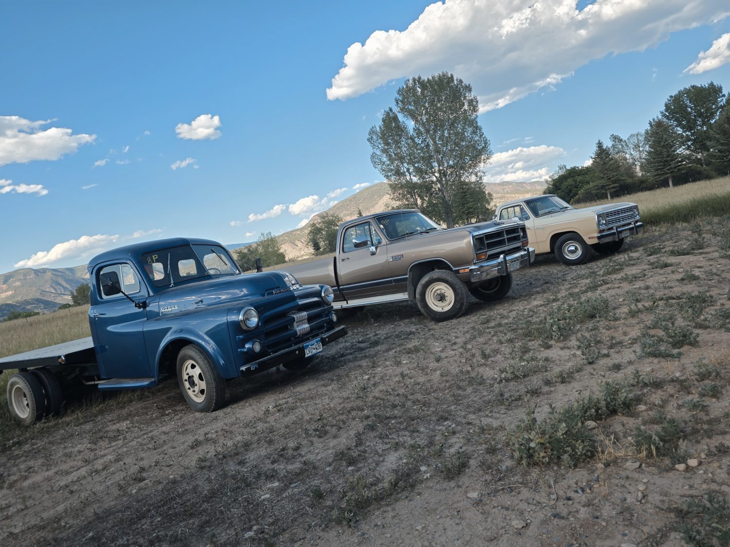 ONLINE ONLY! Dodge Pickups & More! Elder-Auto, A Gold Mine of Old Dodge Trucks!  - image 8