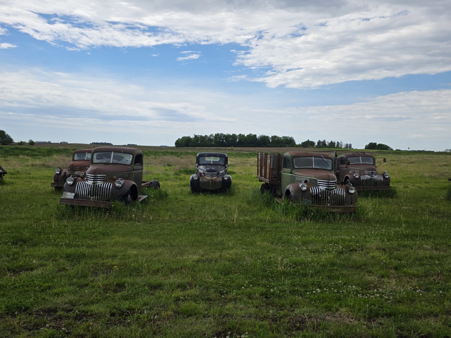 Approx. 250 Classic Trucks, Pickups, Cars! The Redwood County Truck Collection! - image 12