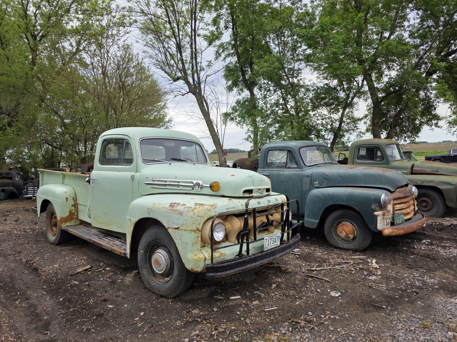 Approx. 250 Classic Trucks, Pickups, Cars! The Redwood County Truck Collection! - image 7