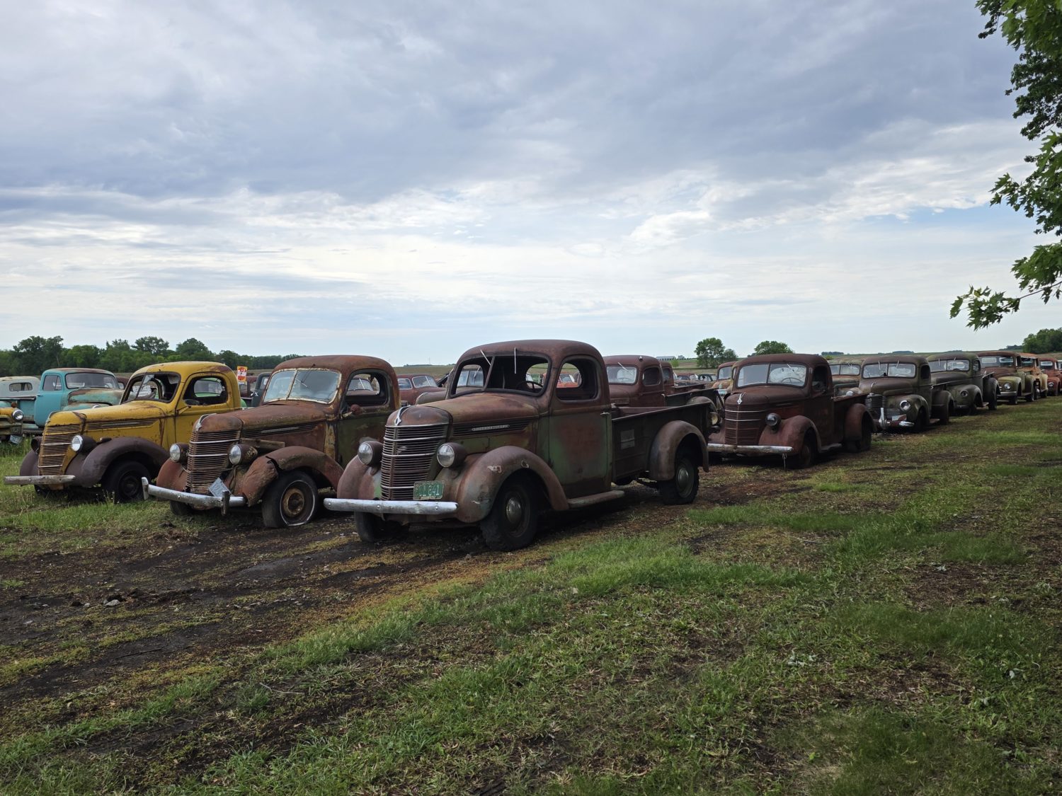 Approx. 250 Classic Trucks, Pickups, Cars! The Redwood County Truck Collection! - image 9