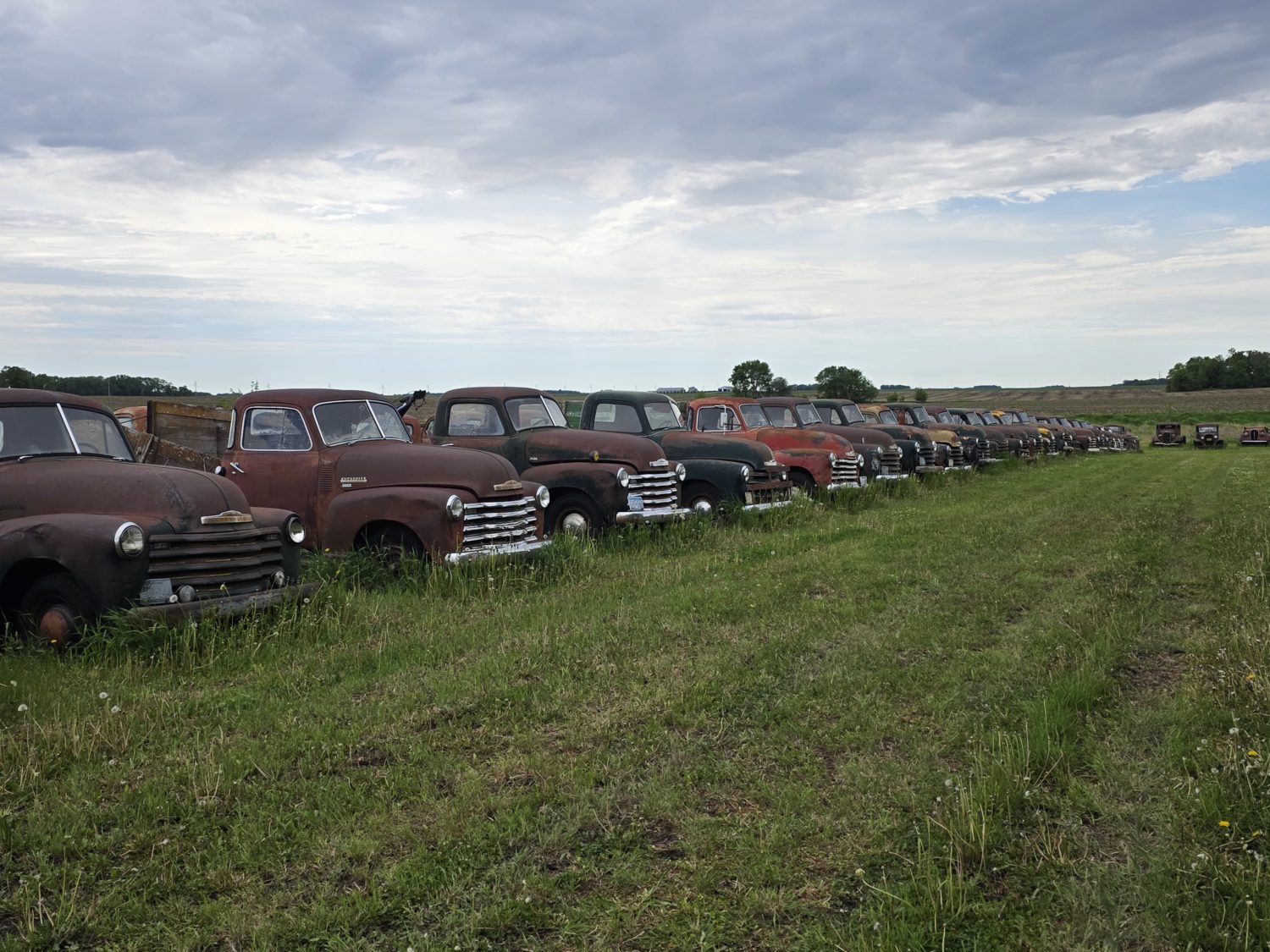 Approx. 250 Classic Trucks, Pickups, Cars! The Redwood County Truck Collection! - image 6