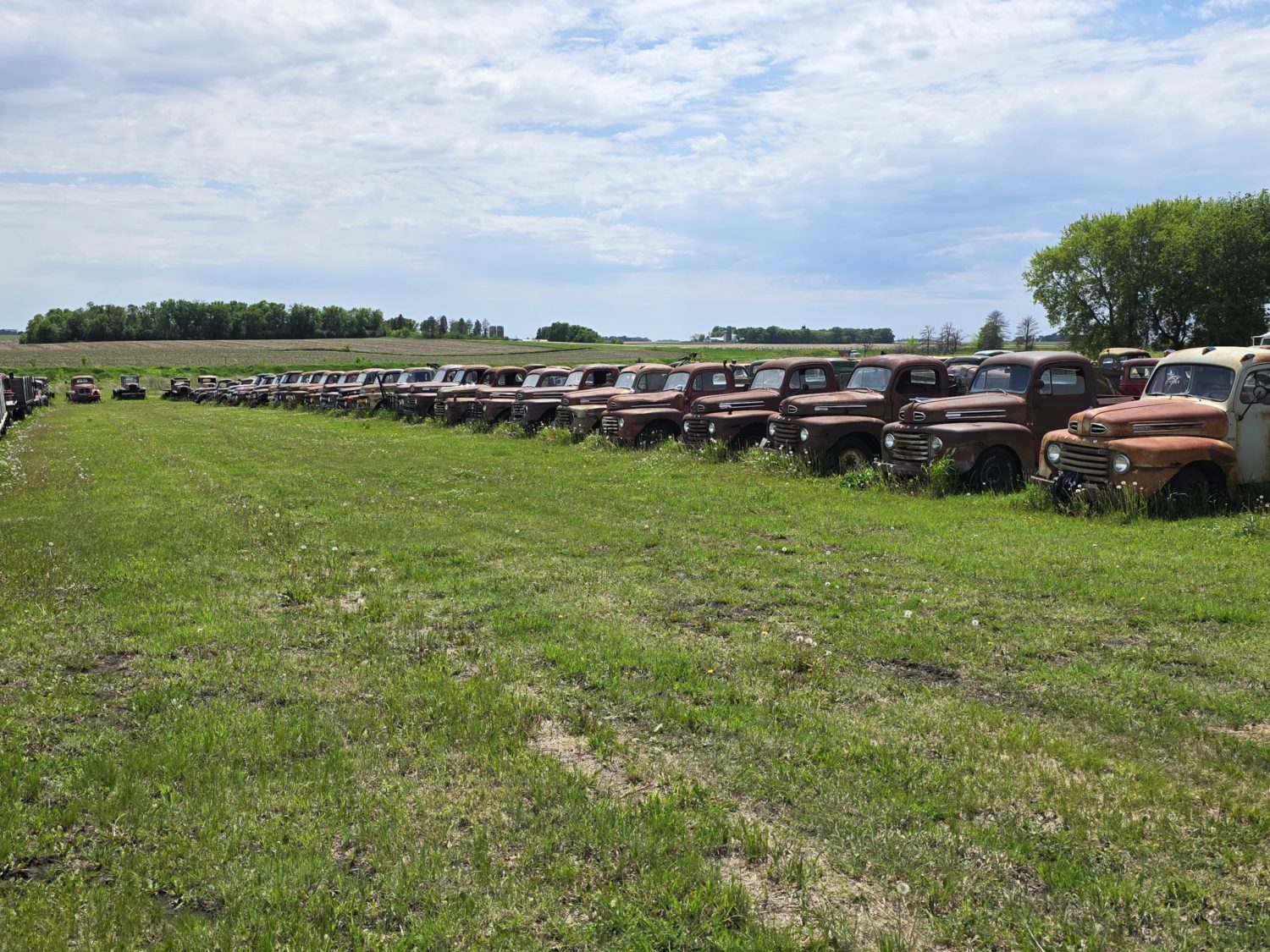Approx. 250 Classic Trucks, Pickups, Cars! The Redwood County Truck Collection! - image 5