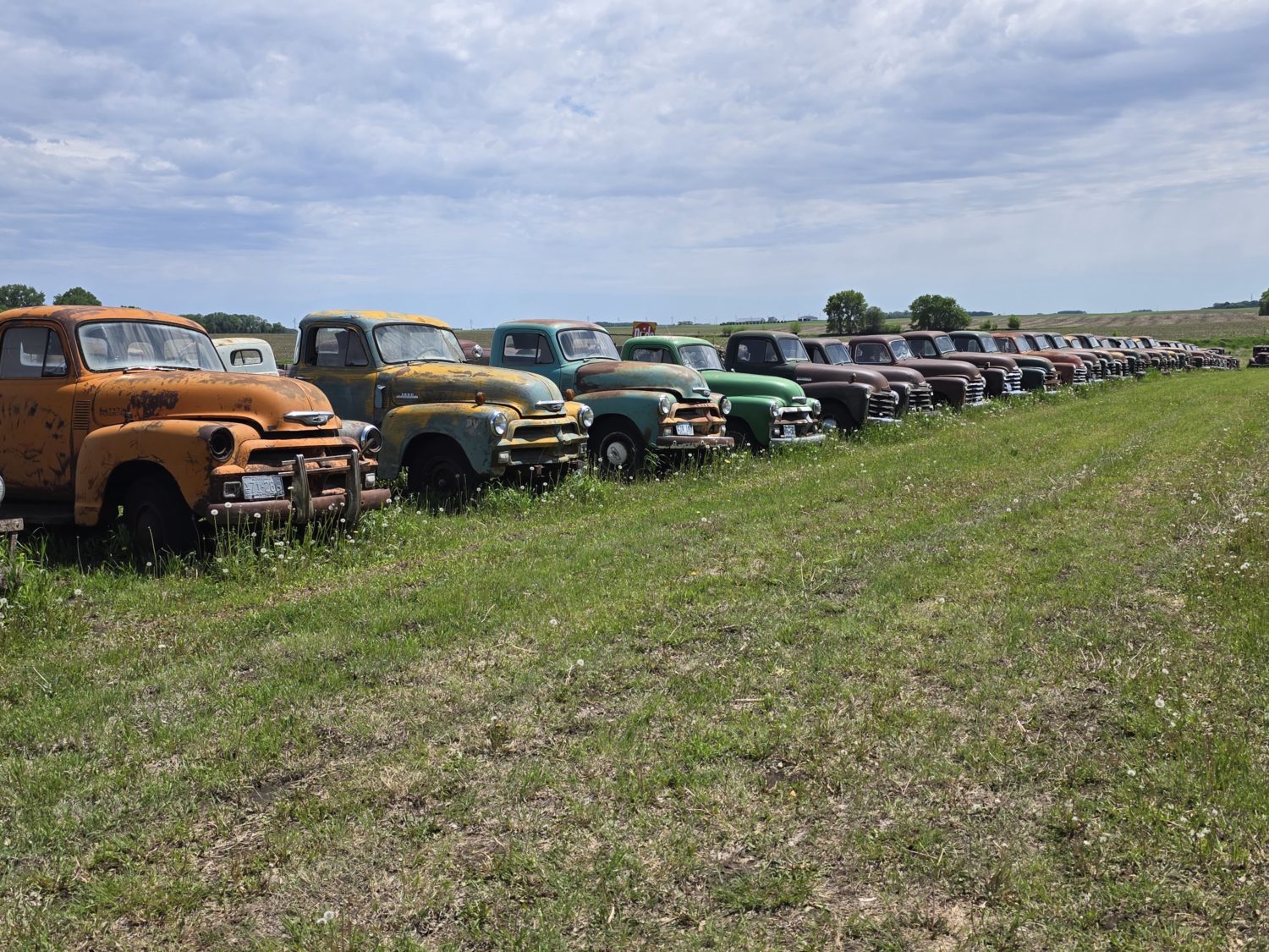 Approx. 250 Classic Trucks, Pickups, Cars! The Redwood County Truck Collection! - image 3