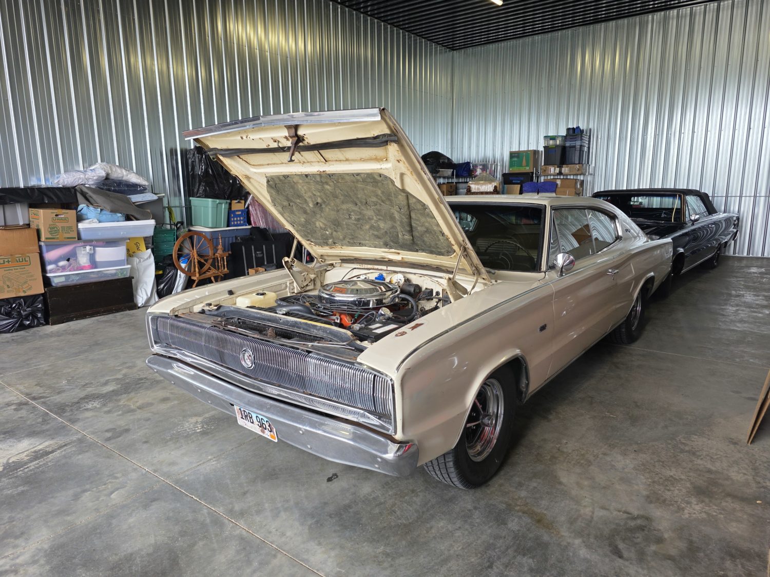 Approx. 250 Classic Trucks, Pickups, Cars! The Redwood County Truck Collection! - image 13
