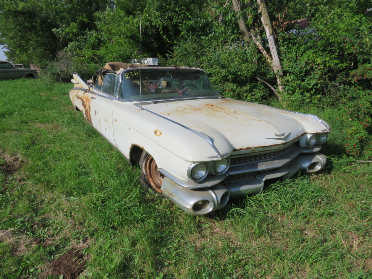 1959 Cadillacs & More! The Brown Collection-ONLINE ONLY AUCTION!  - image 1