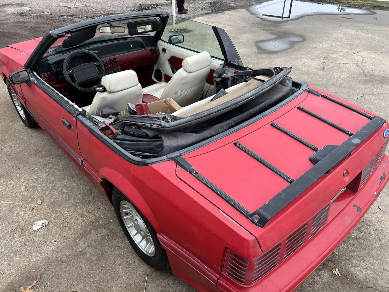 1990 Ford Mustang GT/Cobra GT Convertible - Image 10