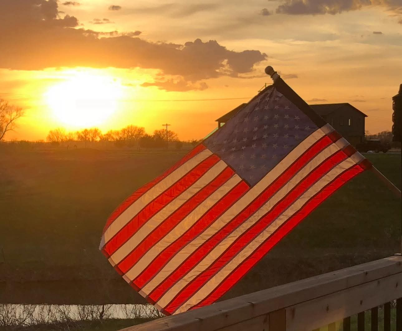 LIVE ONSITE & ONLINE- Amazing Winchester Gun Collection Auction- The Gebauer Collection - image 14