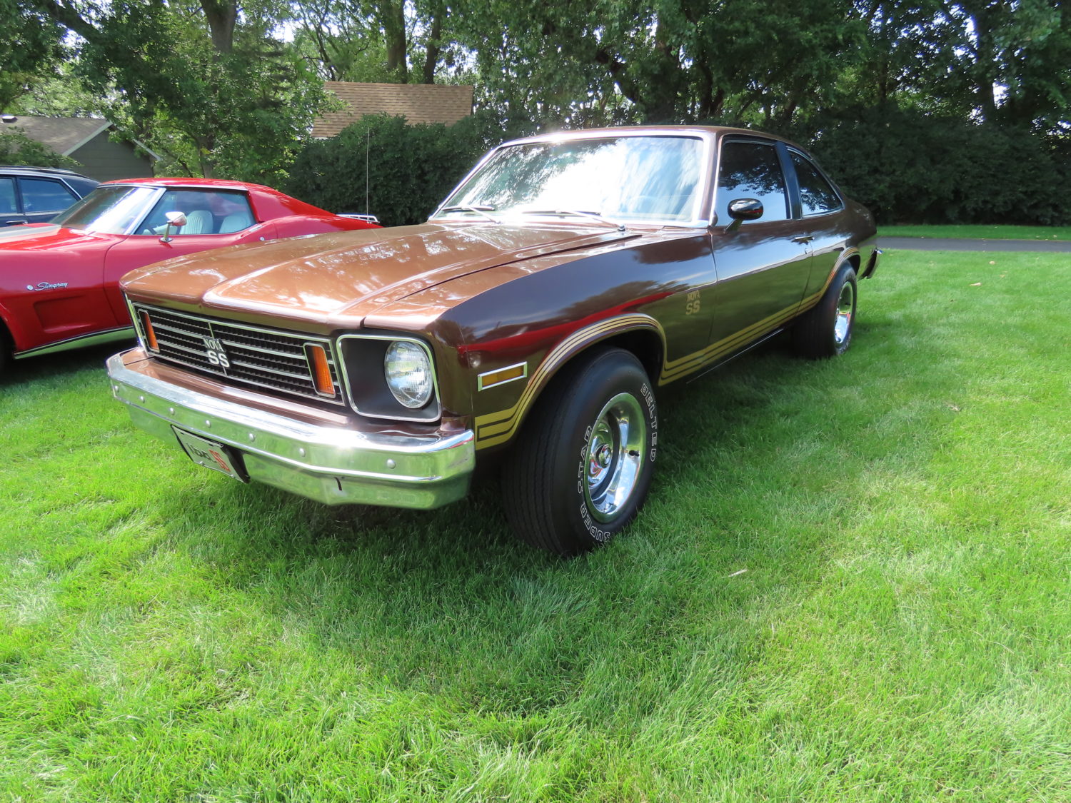 Fabulous GM Muscle Cars! Cutlass, Chevelle, Camaro, & More! Stapleton Collection - image 5