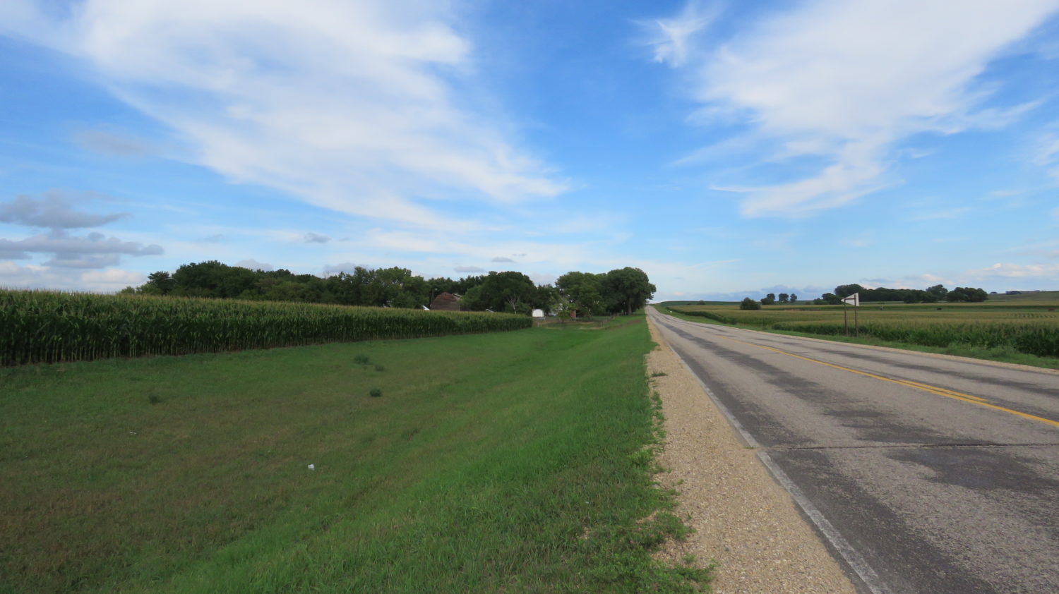 DOUBLE AUCTION! PERSONAL PROPERTY + ~155 ACRES OF HIGHLY PRODUCTIVE ROCK COUNTY FARMGROUND SOLD $8500/acre - image 5