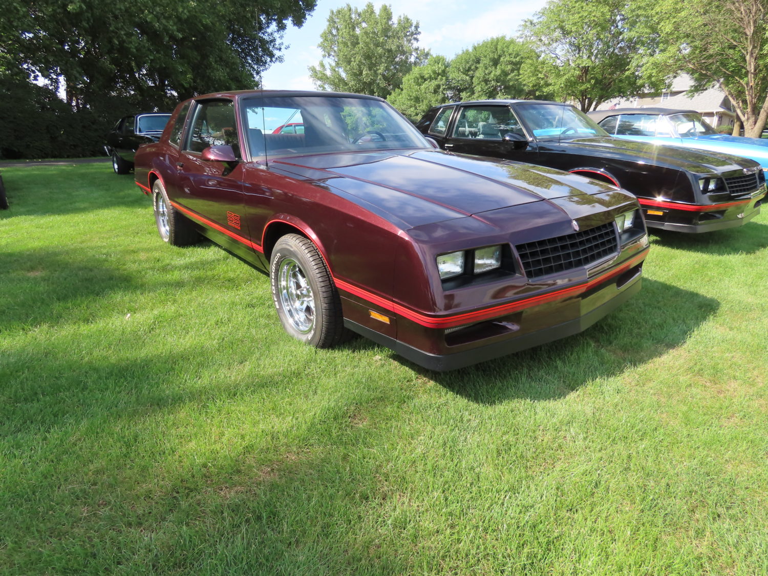 Fabulous GM Muscle Cars! Cutlass, Chevelle, Camaro, & More! Stapleton Collection - image 9