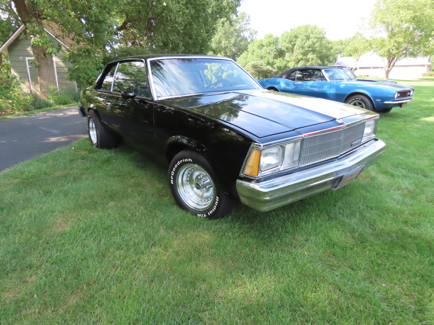 Fabulous GM Muscle Cars! Cutlass, Chevelle, Camaro, & More! Stapleton Collection - image 11