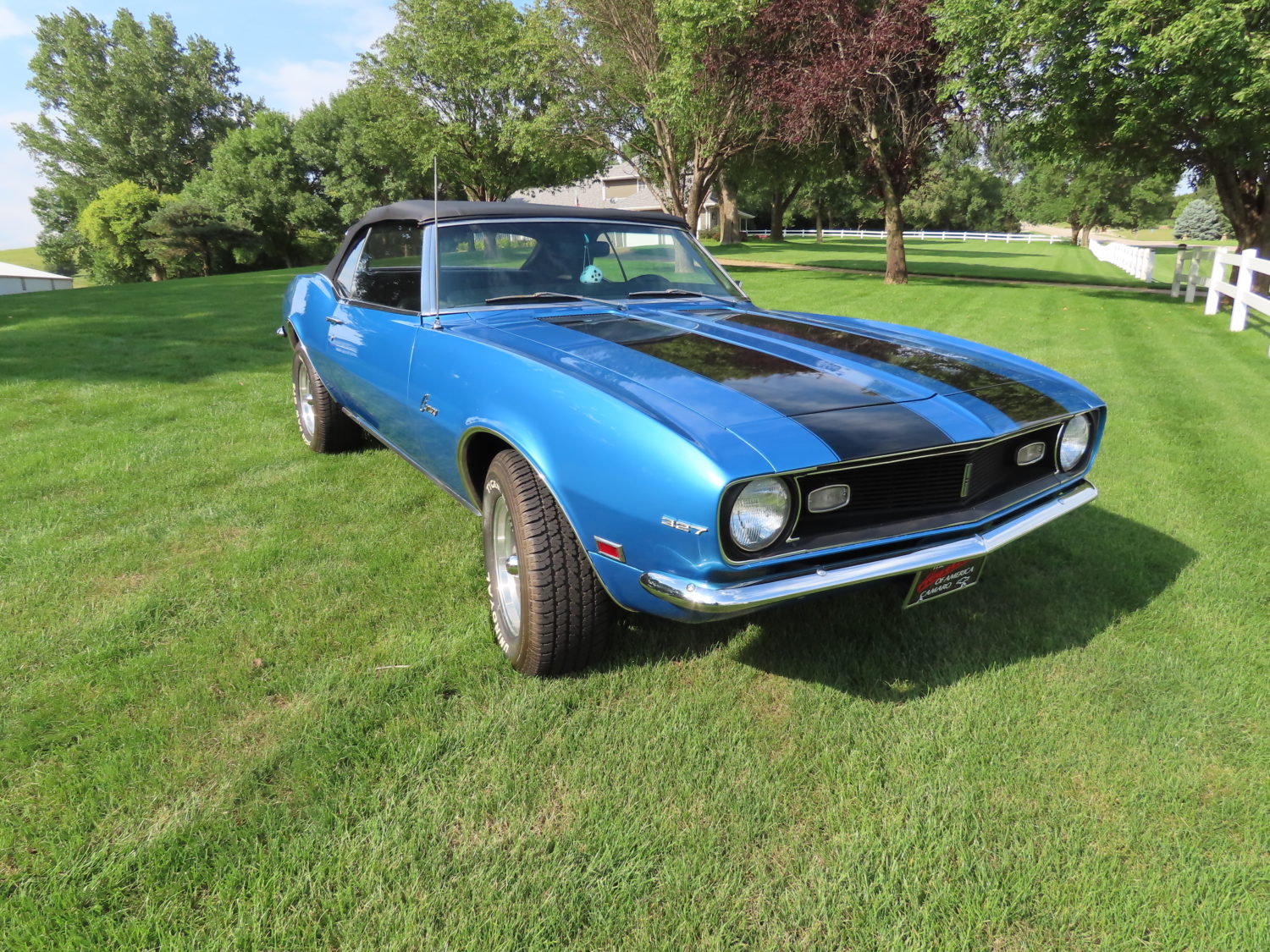 Fabulous GM Muscle Cars! Cutlass, Chevelle, Camaro, & More! Stapleton Collection - image 12