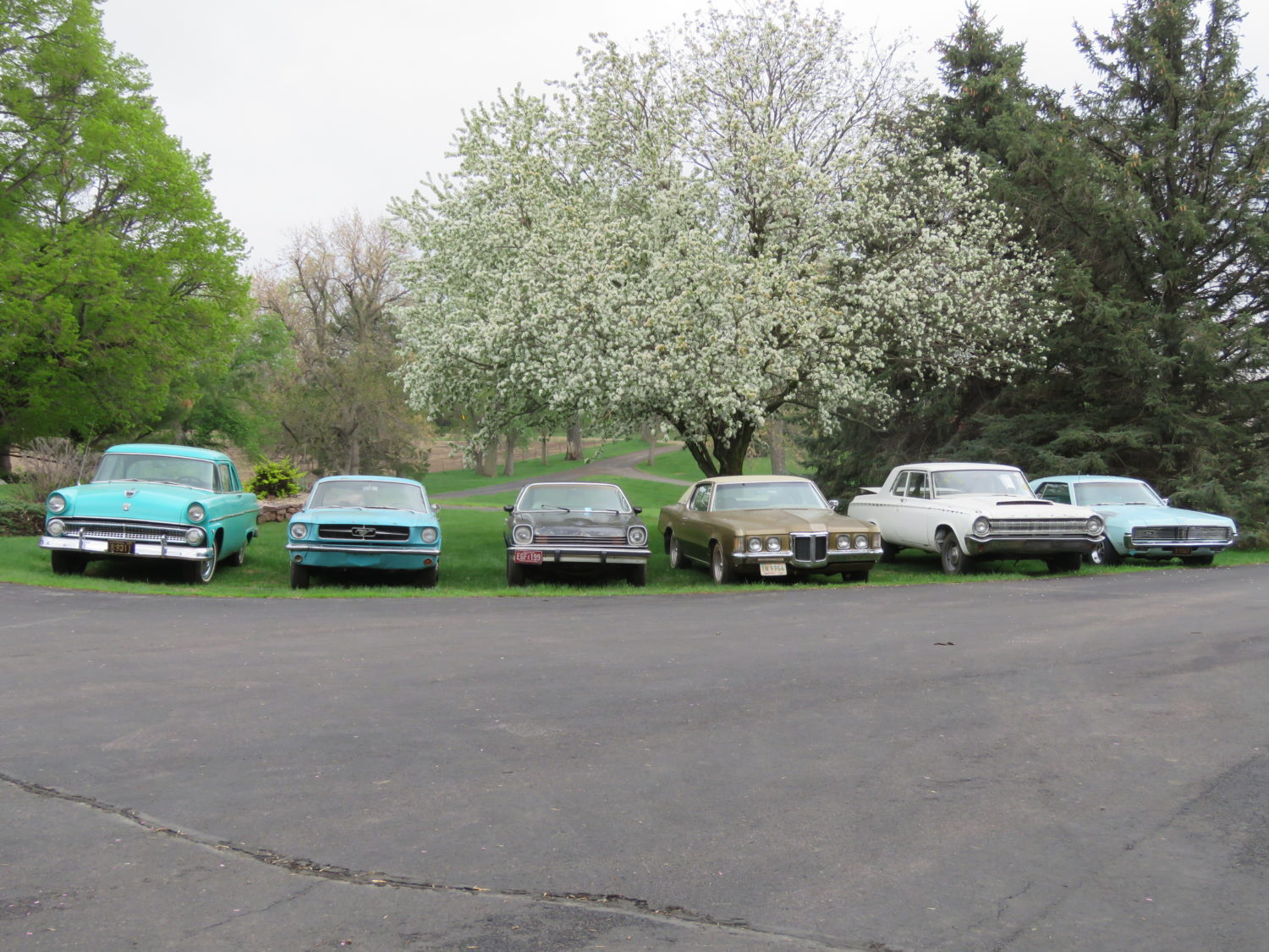 ONLINE ONLY! Larry Haug Collection- Collector Cars & Parts - image 16