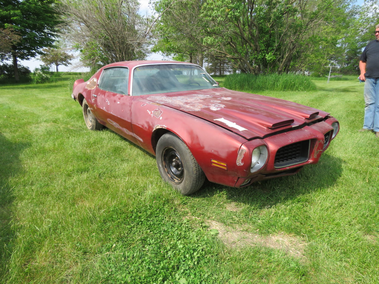 DAY 2-AUG. 5TH, 2023- Amazing Trans Am Hoard! 50 Plus Trans Ams, Thousands of  Parts! , Skid Loader, Camper & More! ONSITE & ONLINE! - image 11