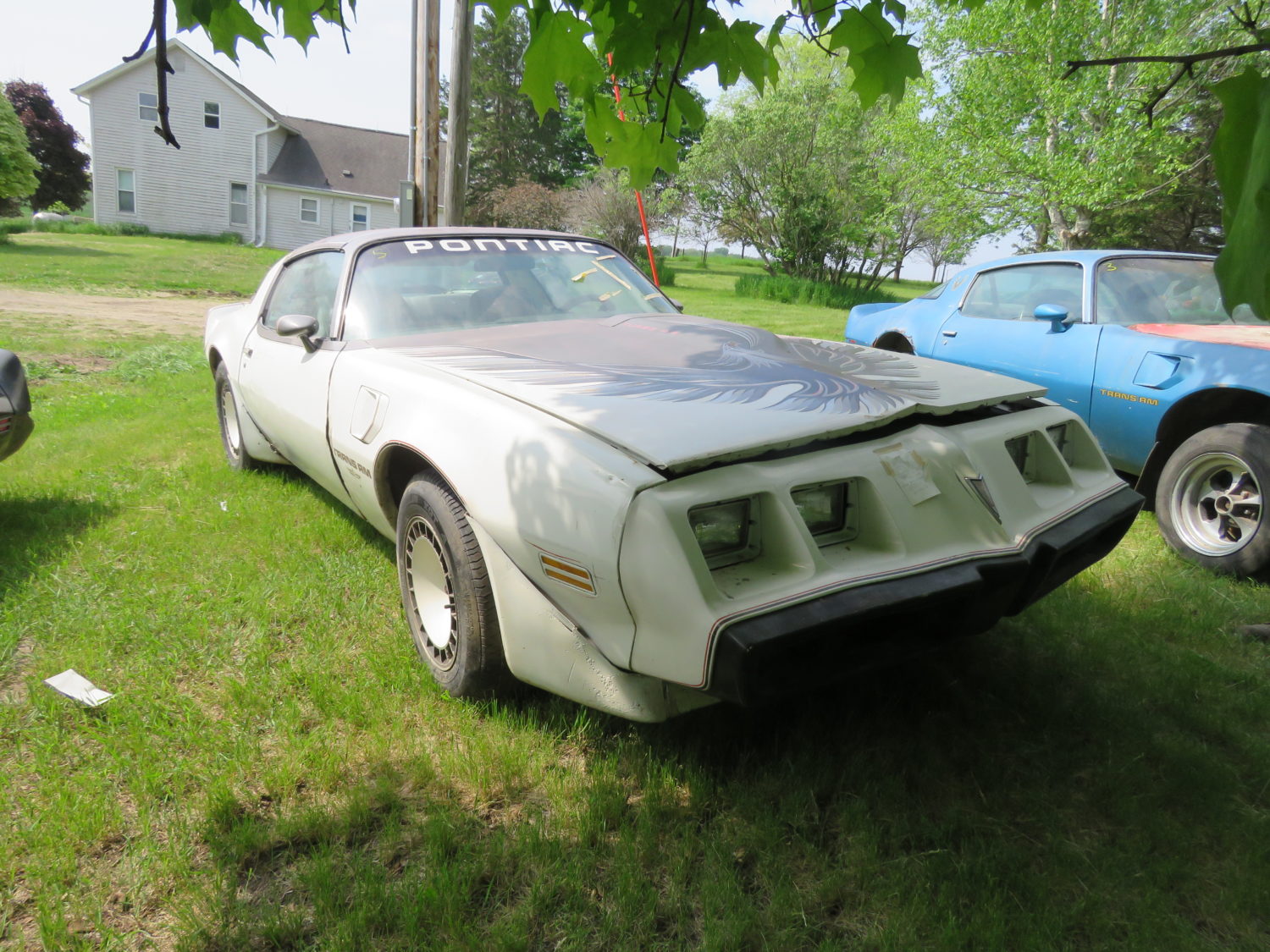 DAY 2-AUG. 5TH, 2023- Amazing Trans Am Hoard! 50 Plus Trans Ams, Thousands of  Parts! , Skid Loader, Camper & More! ONSITE & ONLINE! - image 1
