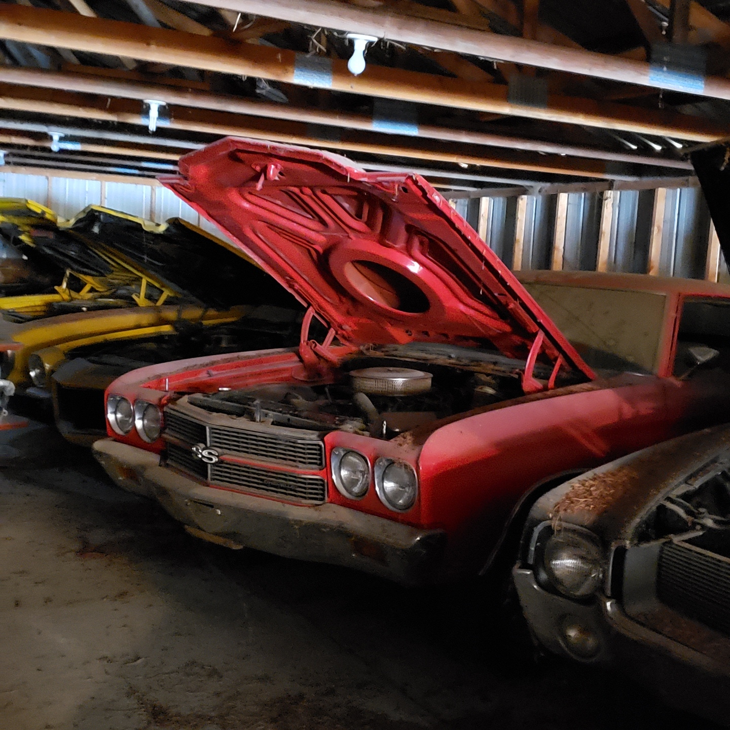 Iowa Muscle Car Hoard at Auction! The Coyote Johnson Collection Auction - image 18