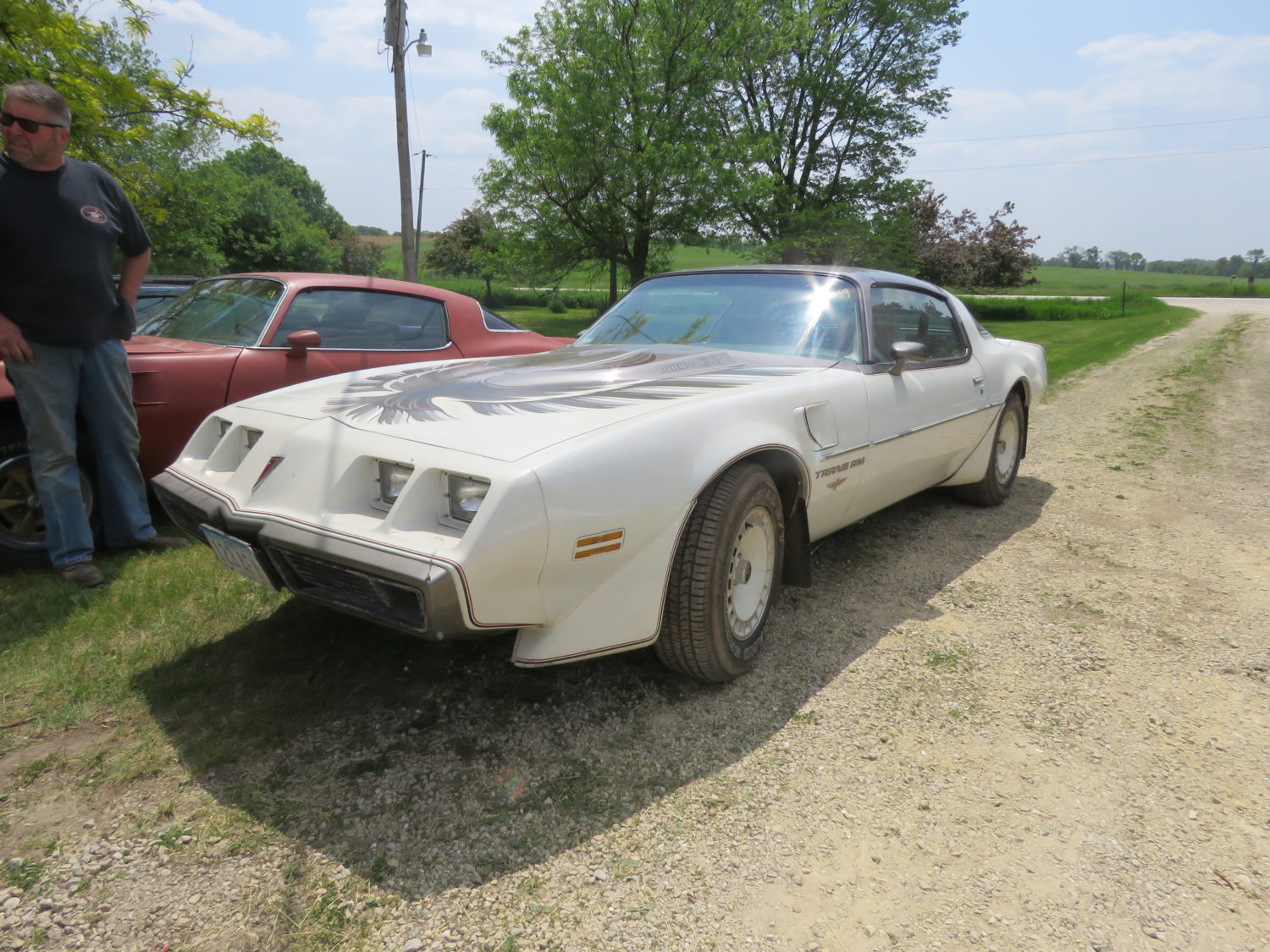 DAY 2-AUG. 5TH, 2023- Amazing Trans Am Hoard! 50 Plus Trans Ams, Thousands of  Parts! , Skid Loader, Camper & More! ONSITE & ONLINE! - image 4