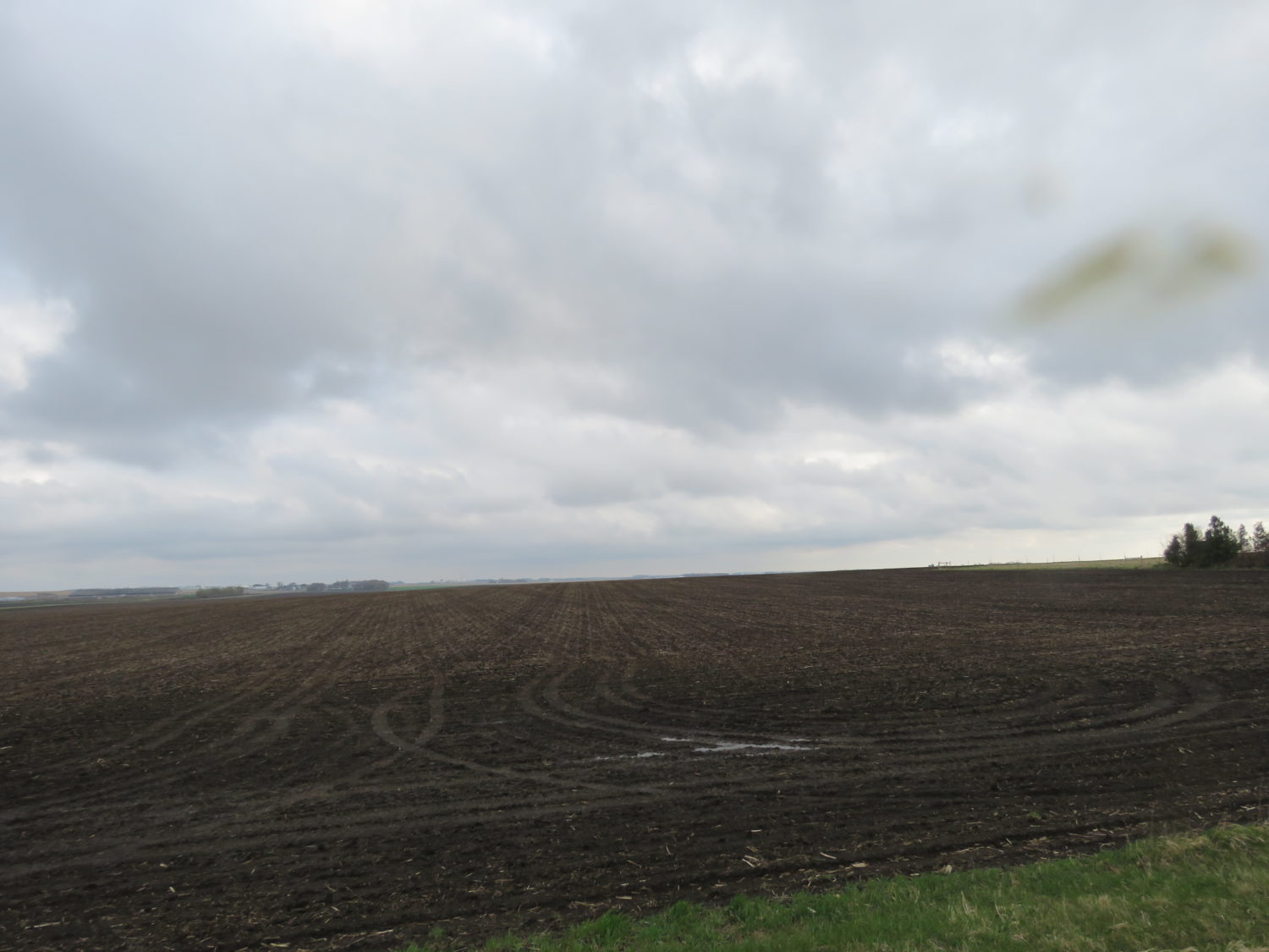 Approx. 152 Acres of Rock County Highly Productive Farm Ground at Auction! Burmeister Trust - image 3
