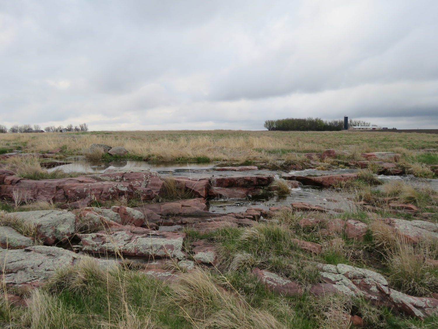 Approx. 152 Acres of Rock County Highly Productive Farm Ground at Auction! Burmeister Trust - image 7