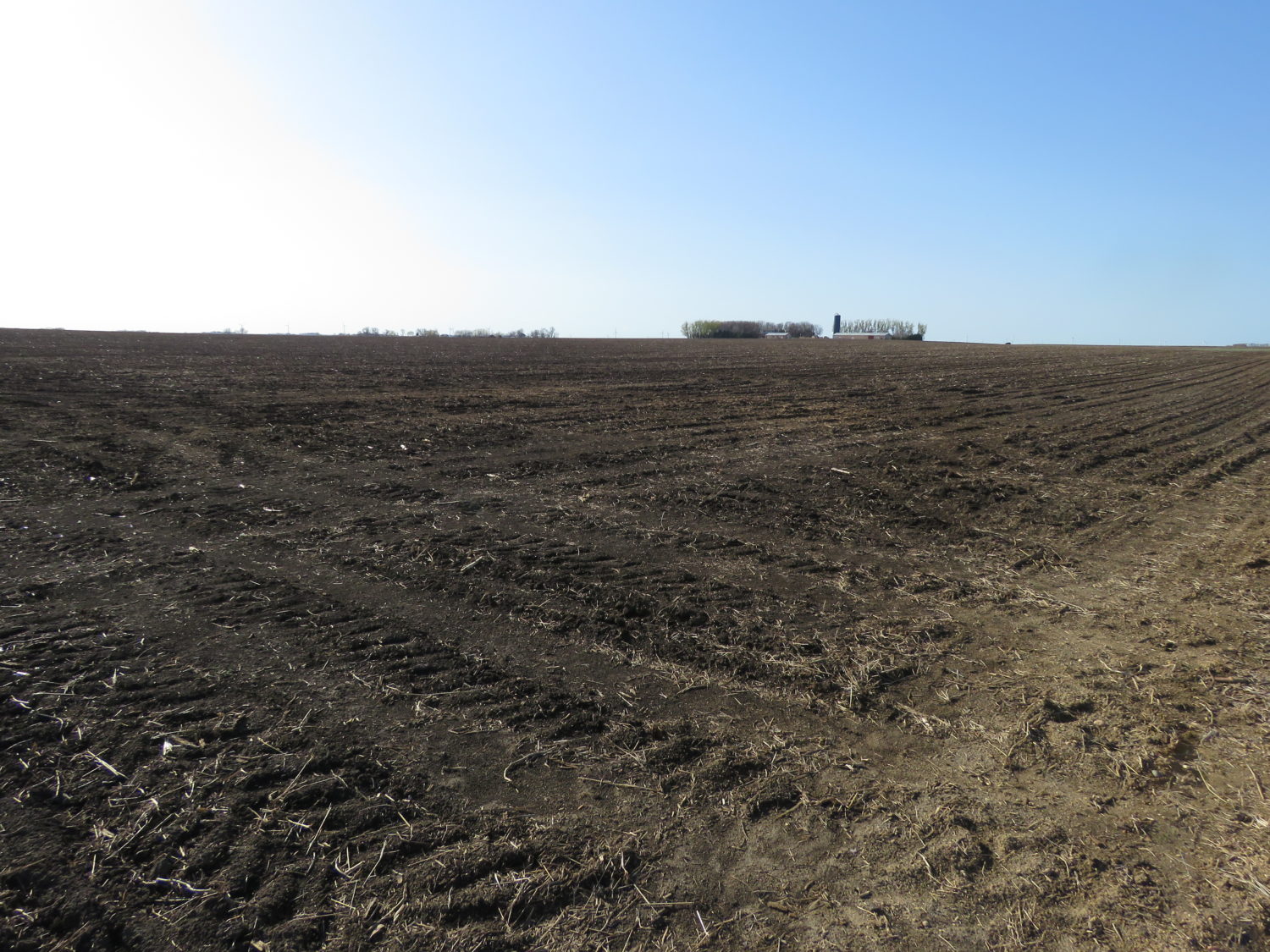 Approx. 152 Acres of Rock County Highly Productive Farm Ground at Auction! Burmeister Trust - image 2