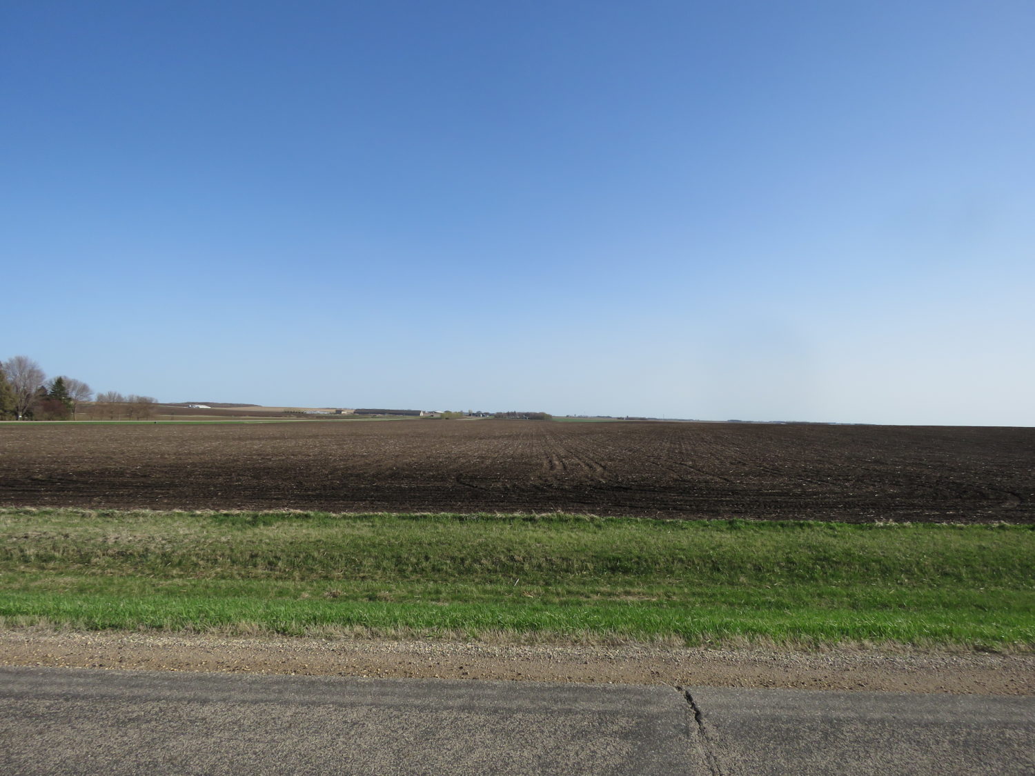 Approx. 152 Acres of Rock County Highly Productive Farm Ground at Auction! Burmeister Trust - image 4