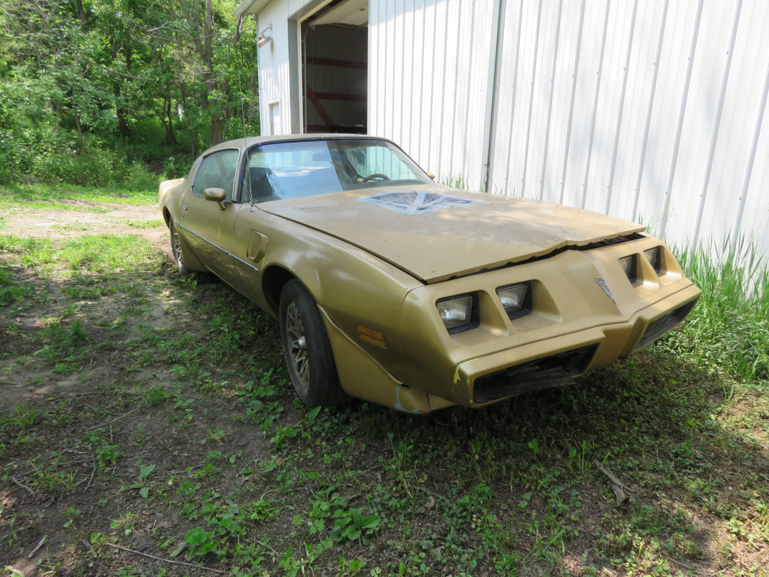 DAY 2-AUG. 5TH, 2023- Amazing Trans Am Hoard! 50 Plus Trans Ams, Thousands of  Parts! , Skid Loader, Camper & More! ONSITE & ONLINE! - image 8