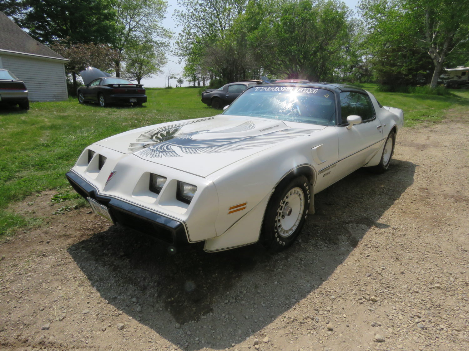 DAY 2-AUG. 5TH, 2023- Amazing Trans Am Hoard! 50 Plus Trans Ams, Thousands of  Parts! , Skid Loader, Camper & More! ONSITE & ONLINE! - image 9