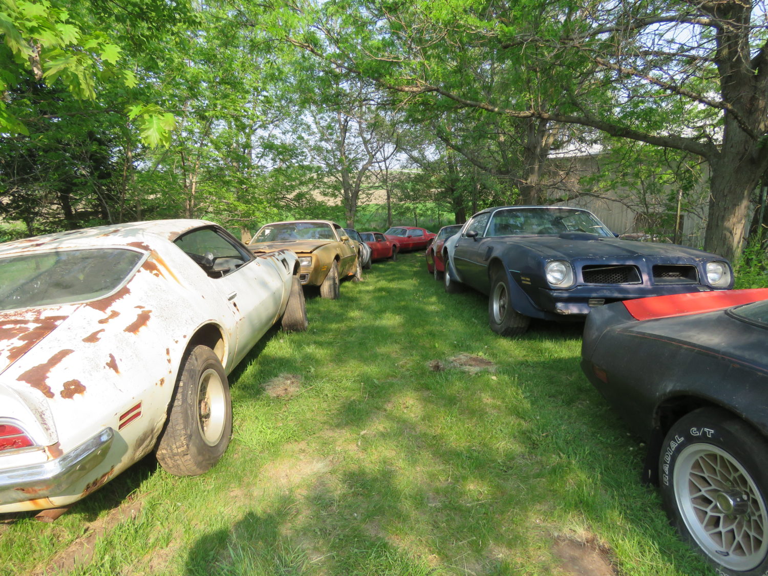 DAY 2-AUG. 5TH, 2023- Amazing Trans Am Hoard! 50 Plus Trans Ams, Thousands of  Parts! , Skid Loader, Camper & More! ONSITE & ONLINE! - image 10