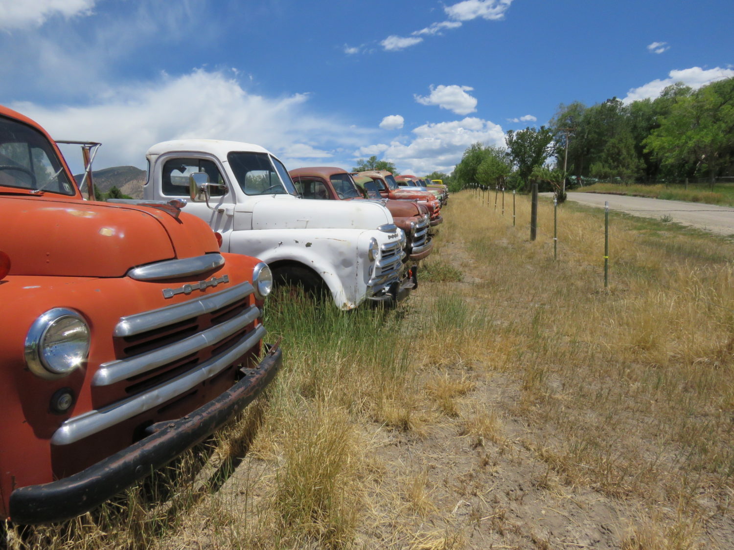 ONLINE ONLY! Dodge Pickups & More! Elder-Auto, A Gold Mine of Old Dodge Trucks!  - image 9