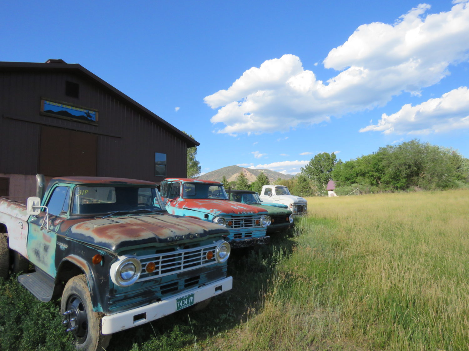 ONLINE ONLY! Dodge Pickups & More! Elder-Auto, A Gold Mine of Old Dodge Trucks!  - image 10