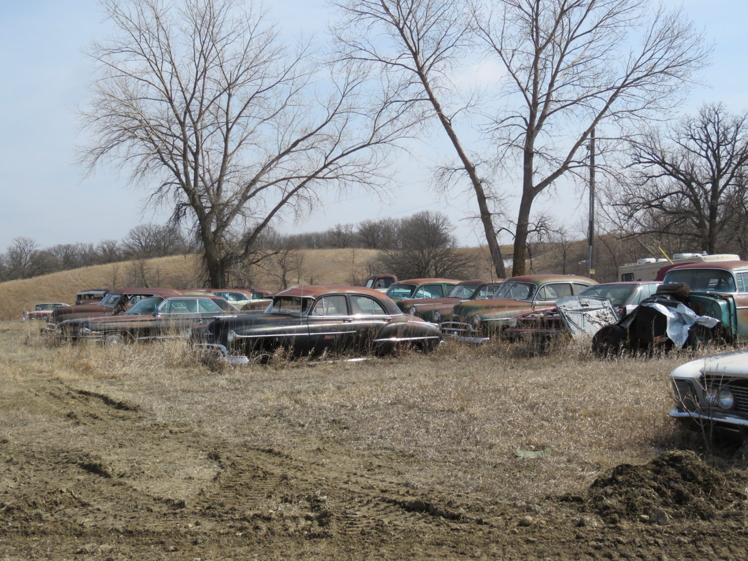Day 2- Approx. 200 Collector Cars & Trucks!- The James Graham Collection - image 4