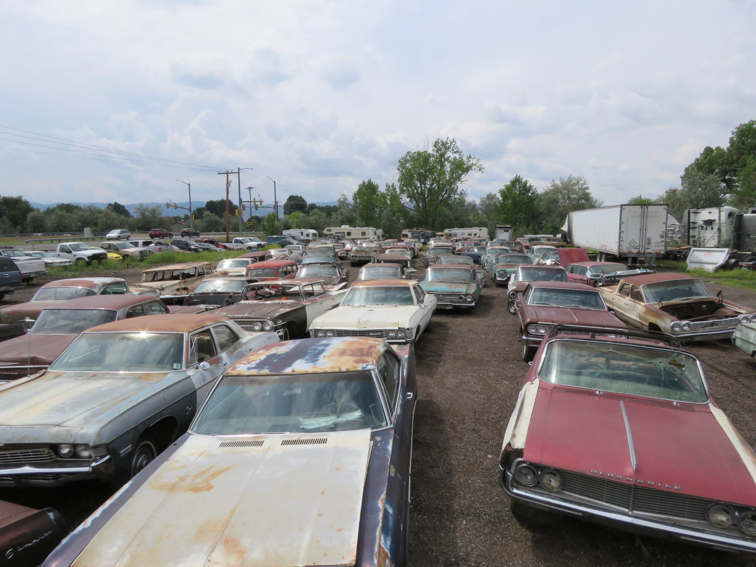 LIVE ONSITE W/ONLINE! AMAZING Approx. 300 Collector Cars At Auction! The Randy Milan Collection - image 2