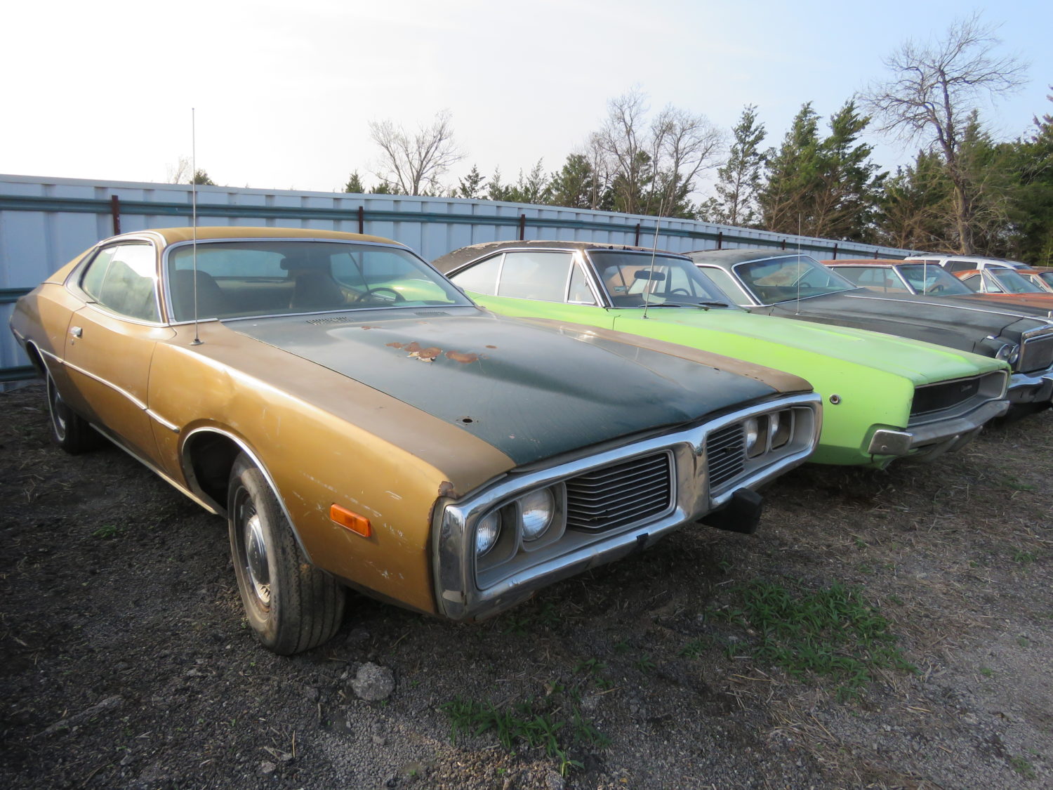 200 Plus Classic Cars at Auction! Dennis Collin's Coffee Walk Presents Restoration Revival Auction!  - image 24