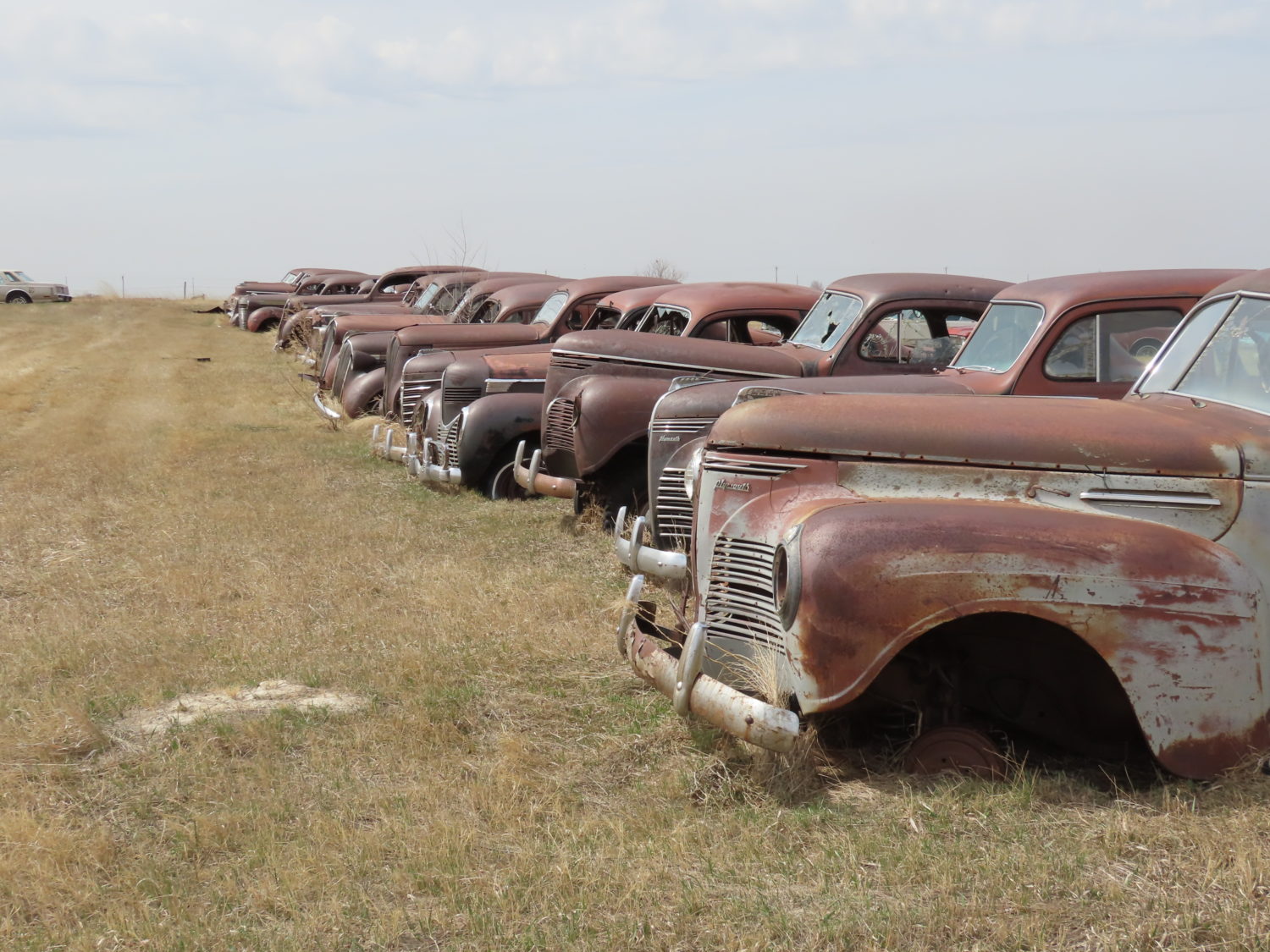 LIVE ONSITE & ONLINE! Approx. 300 Collector Cars, Parts, & More! The Sagaser Collection! June 7th, 2025 - image 15