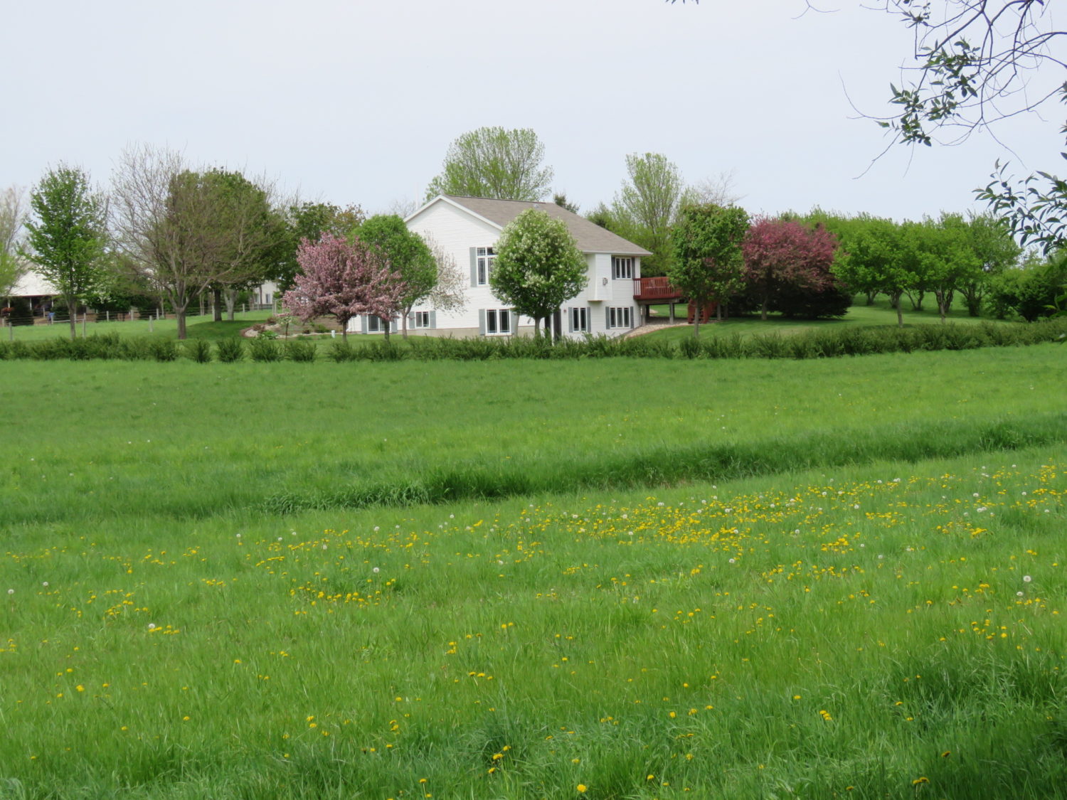 Amazing Real Estate Opportunity-Approx. 73 Acres at Auction- The Valley Springs Farm - image 9