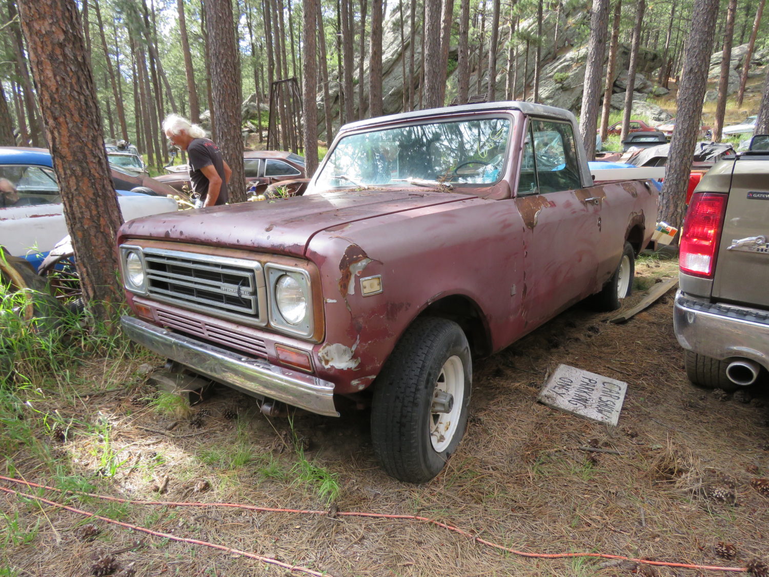 ONLINE ONLY! Approx. 80 Collector Vehicles at Auction! Custer Car Collection - image 12