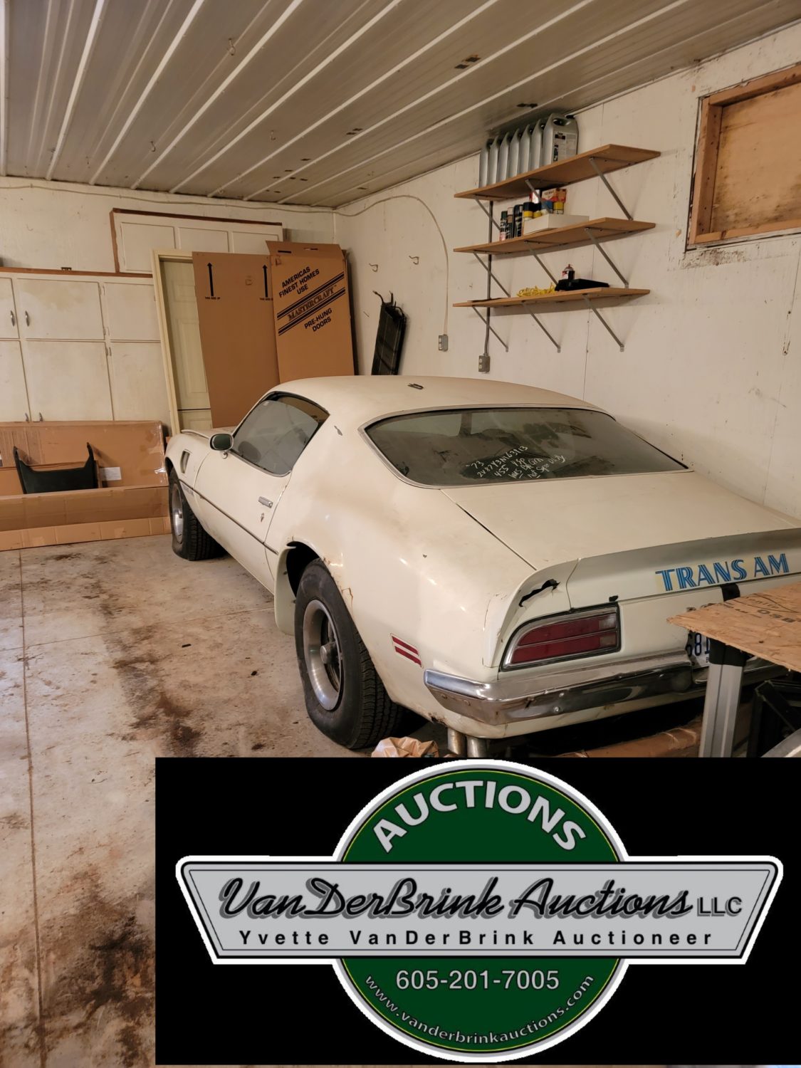 Amazing Trans Am Horsepower Hive! 50 Plus Trans Ams, Parts & Much More! - image 1