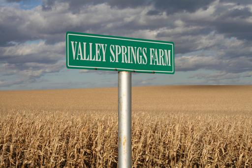 Amazing Real Estate Opportunity-Approx. 73 Acres at Auction- The Valley Springs Farm - image 2